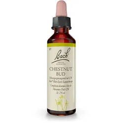Bachblüten Chestnut Bud Tropfen 20 ml