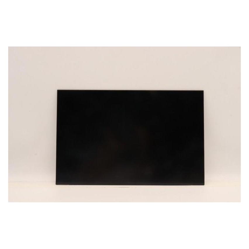 Lenovo DISPLAY FRU AUO B160UAN03.2 (5D10V82406)
