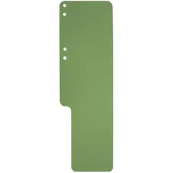 Exacompta, Mappe, 100 Aktenschwänze grün (100x)