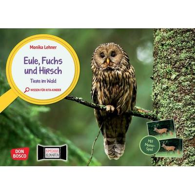 Eule, Fuchs und Hirsch. Tiere im Wald