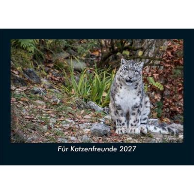Für Katzenfreunde 2027 Fotokalender DIN A5