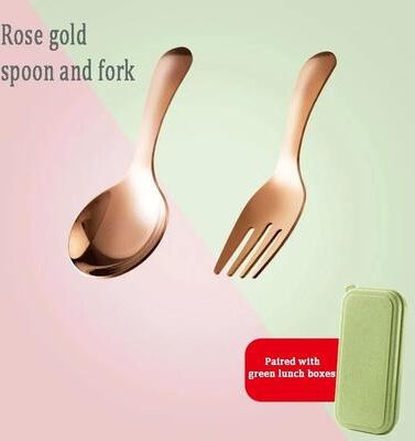 Uplifted Finds Outdoor Tourism 304 Stainless Steel Portable Tableware Children Tableware Spoon And Fork Combination rose Gold