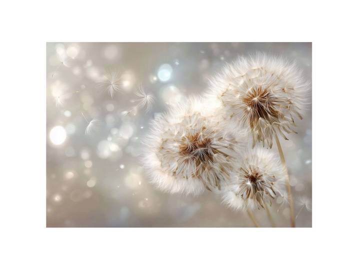 FOTOTAPETE Pusteblumen Blumen Beige 350x250 cm