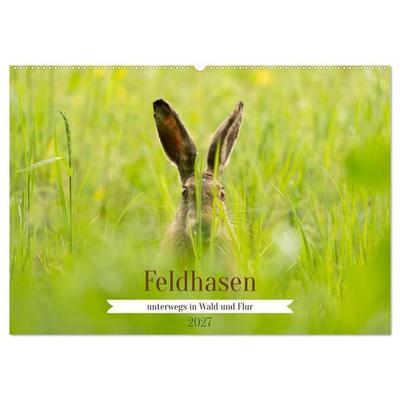 Feldhasen unterwegs in Wald und Flur (Wandkalender 2027 DIN A2 quer), CALVENDO Monatskalender