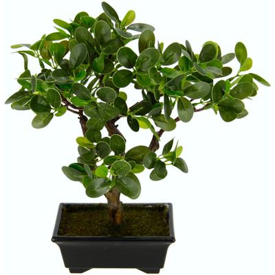 Kunstbonsai I.GE.A. "Ginseng-Bonsai", grün, B:13cm H:33cm, Obermaterial: 70% Kunststoff, 30% Polyester, Kunstpflanzen, in Bonsaischale aus Kunststoff