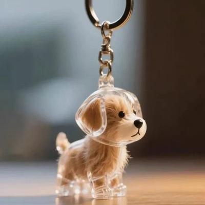 Uplifted Finds Adorable Transparent Pet Hair Memorial Keychain DIY Cat & Dog Fur Storage Pendant dog 3 5 Pcs
