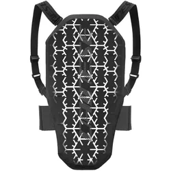 Dainese, Protektoren, (L, Rückenpanzer)