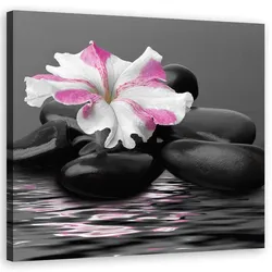 WANDBILD steine rosa blume zen
