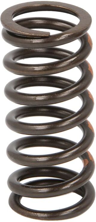 Ventilfeder FEBI BILSTEIN 188166