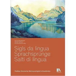 Sigls da lingua  Sprachsprünge  Salti di lingua, Fachbücher von Mirella Carbone, Christa Baumberger, Annetta Ganzoni, Franz Hohler, Arno Camenisch, Angelika Overath, Tim Krohn, Ulrich Weber, Leta Semadeni, Cordula Seger, Dominik Müller, Marco Baschera, Andreas Bäumler, Renzo Caduff, Rico Franc Valär, Clà Riatsch, Daniele Cuffaro, Irene Weber Henking, Daniele Maggetti