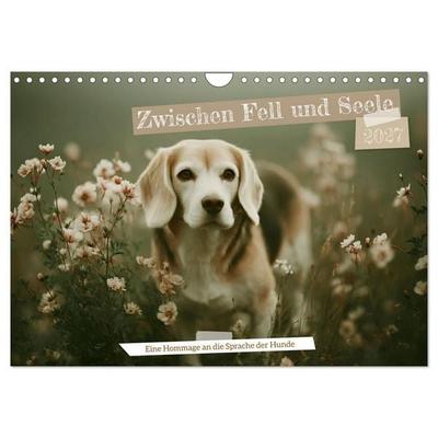 Zwischen Fell und Seele (Wandkalender 2027 DIN A4 quer), CALVENDO Monatskalender