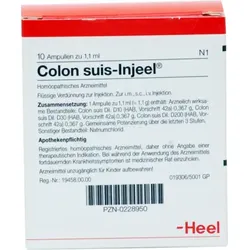 COLON SUIS Injeel Ampullen 10 St