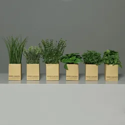 Kunstpflanze KRÄUTER (H 20 cm) - H 20 cm