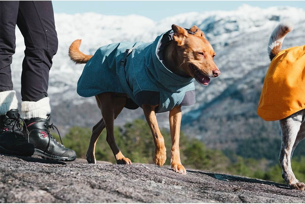 Hurtta Expedition Parka Vintertäcke Blå