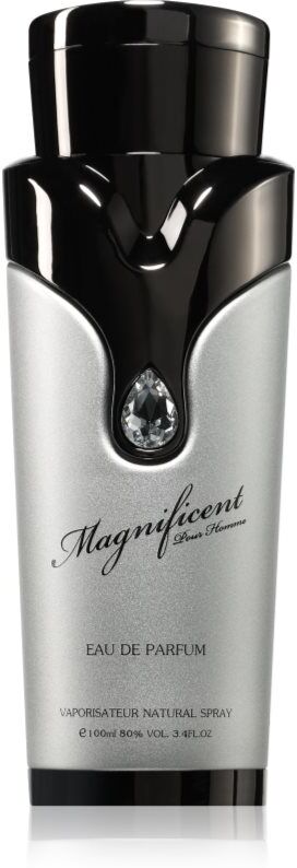 Armaf Magnificent Pour Homme Eau de Parfum pour homme 100 ml