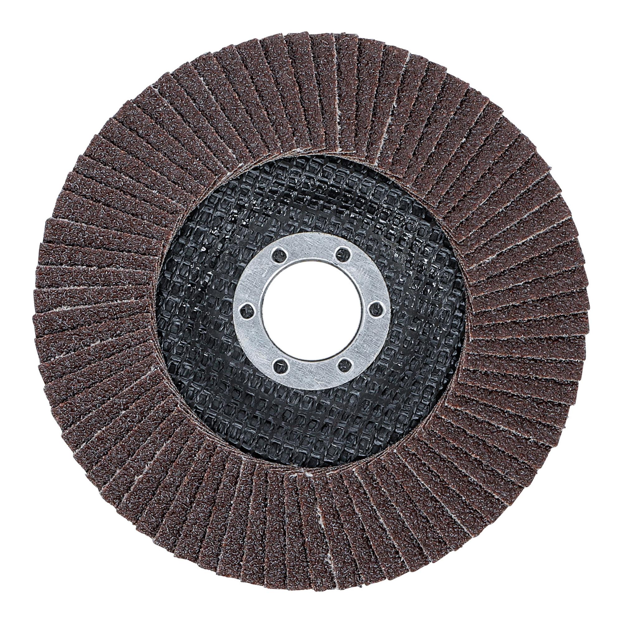BGS Fächer-Schleif-Scheibe Ø 125 mm K 60 ; BGS technic (3975)