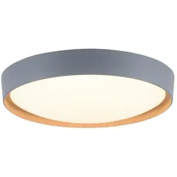 Q SMART HOME LIGHTS LED-Deckenleuchte Q-Emilia Alu, Eisen, Stahl & Metall