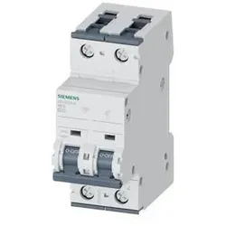Siemens Dig.Industr. LS-Schalter AC/DC 5SY5220-6