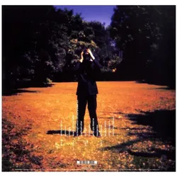 Transmission, Schallplatten, Insurgentes (Gatefold Black 2LP) (Steven Wilson)