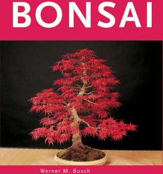 Busch, Werner M. - Bonsai - Preis vom 10.10.2026 11:48:34 h