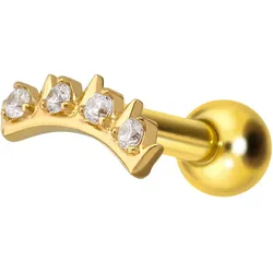 Titan Ohrpiercing mit Innengewinde KRONE