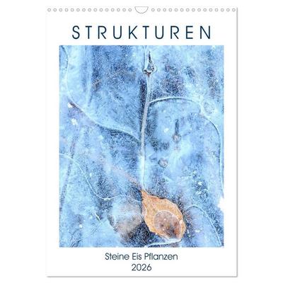 Strukturen - Steine, Eis, Pflanzen (Wandkalender 2026 DIN A3 hoch), CALVENDO Monatskalender
