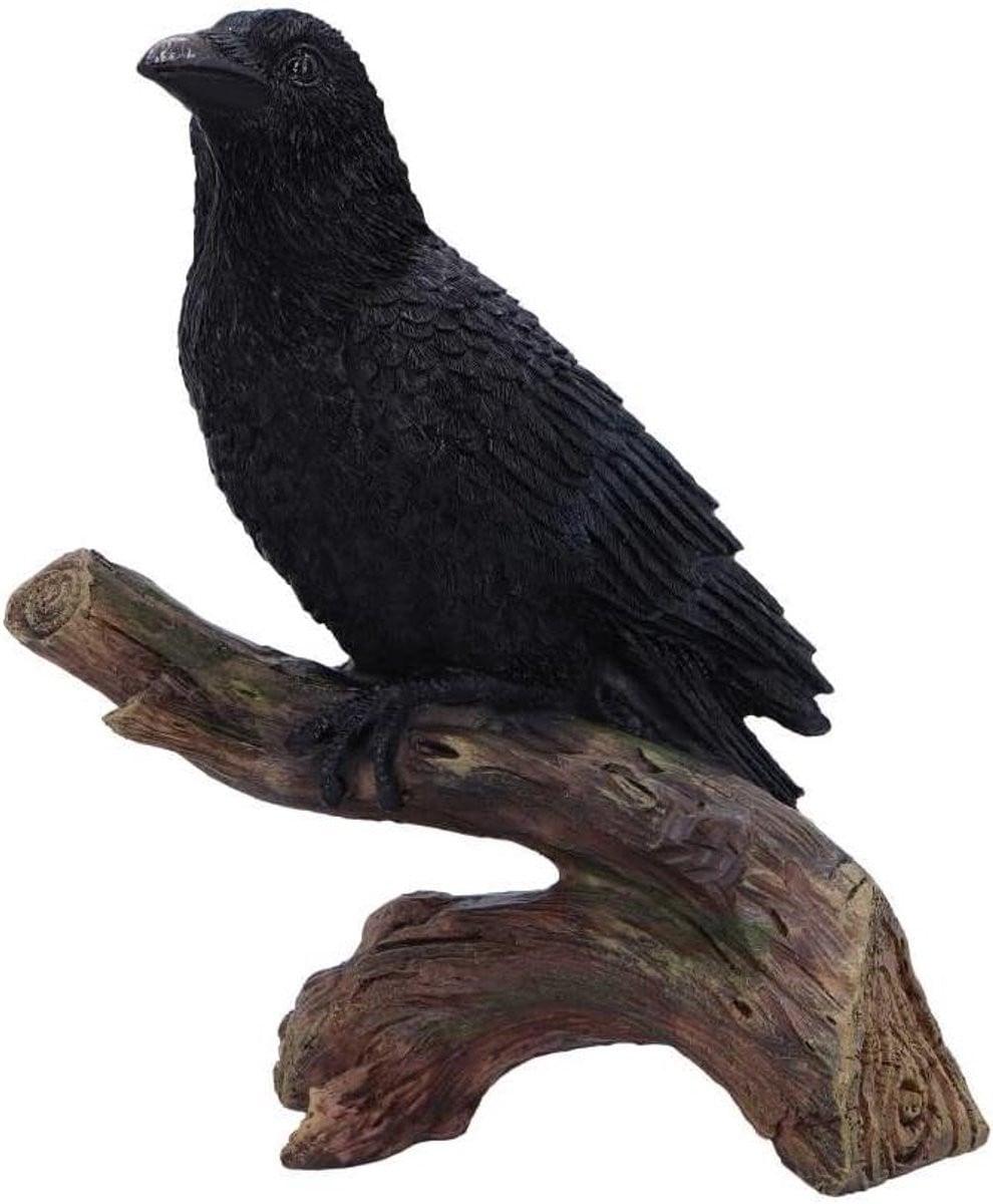 Zwart Raven Beeldje voor Gothic Decoratie - 20 cm Hoog