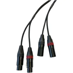 AudioTeknik Dual XLRf > XLRm 3 m - Audiokabel