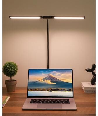 Value Selection LED Desk Lamp With Clamp Dual Head 360 Adjustable Gooseneck Office Light LED Desk Lamp With Clamp Dual Head 360 Adjustable Gooseneck Office Light