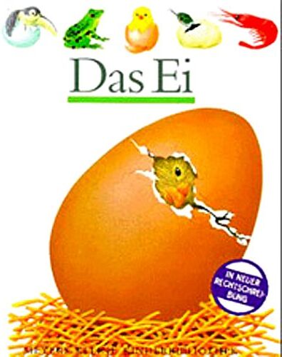 Bourgoing, Pascale de - Das Ei - Preis vom 19.10.2026 19:33:35 h