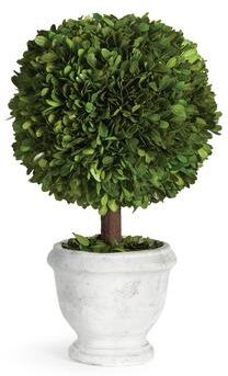 Porch & Petal "Boxwood Single 9"" Ball Topiary In Pot - Green"