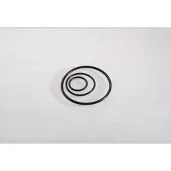 Pflitsch Dichtring OR28x2