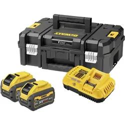 DeWalt, Werkzeugakku + Ladegerät, DCB118XY2T-QW Tabless Akku-Starter-Set, 216 Wh