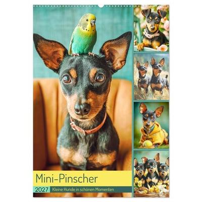 Mini-Pinscher. Kleine Hunde in schönen Momenten (Wandkalender 2027 DIN A2 hoch), CALVENDO Monatskalender