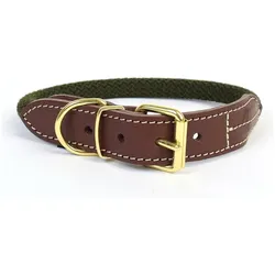 Duvoplus Explor Forest (Hund, Spazieren), Halsband + Leine
