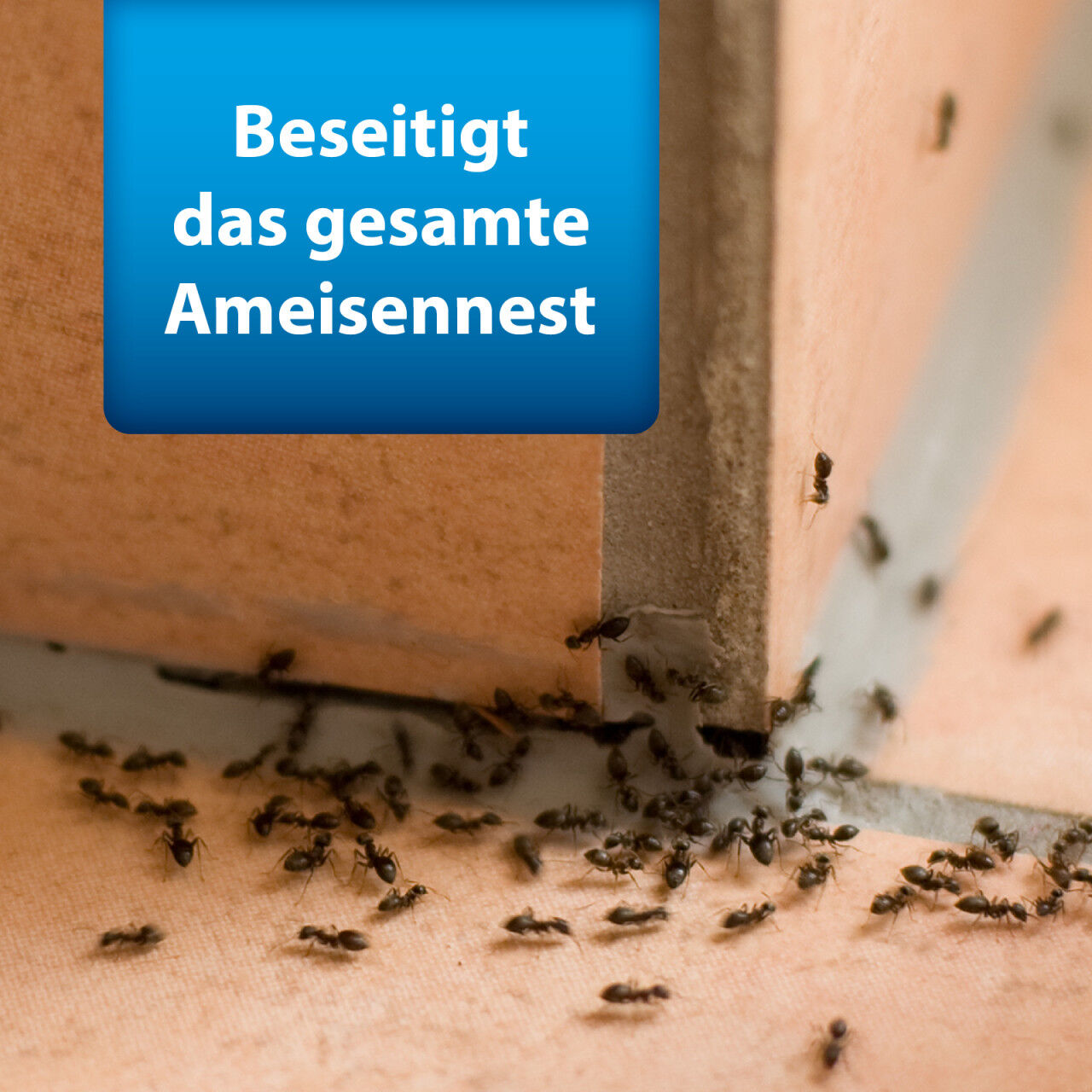 Ardap Pro Ameisen Streumittel 500 g