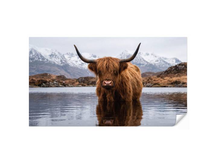 OnlyWow Tapete - Schottischer Hochländer - Braun - Wasser - 450x240 cm, Papier, Rechteckig, 450x240 cm, Tapeten & Wandverkleidungen, Vliestapeten