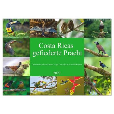 Costa Ricas gefiederte Pracht (Wandkalender 2027 DIN A3 quer), CALVENDO Monatskalender