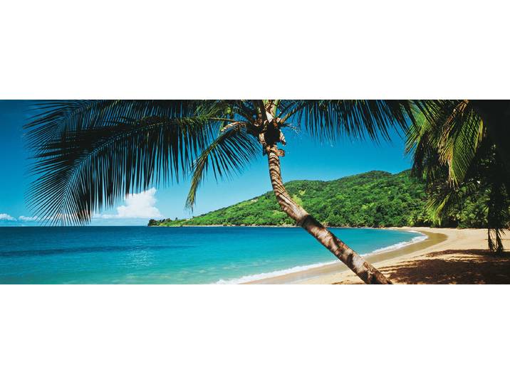 Fototapete PAPERMOON Palm Beach Panorama , bunt, B:3,5m L:1m, Vlies, Tapeten, Fototapete