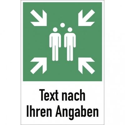 Dreifke® Schild, Sammelstelle mit Text nach Ihren Angaben ISO 7010, Alu, 600x800 mm