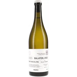 Hidden Treasures Nr.3 Balaton Villa Tolnay Moric 2022