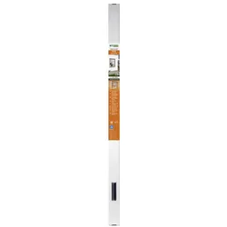 Windhager, Fliegengitter, Rollo (160 x 160 cm)