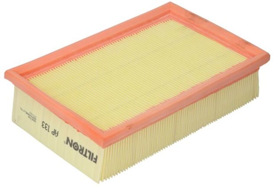 Filtron Filtro aria AP133