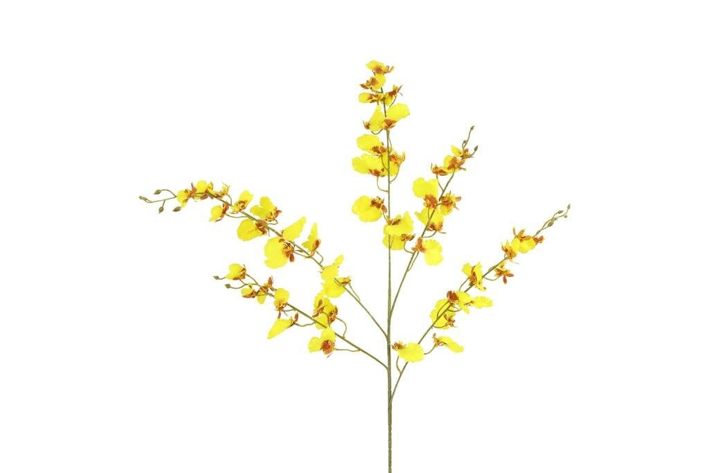 Countryfield zijden Phalaenopsis bloem geel 90 cm