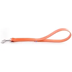 Martin Sellier 499 (100, Hund, Spazieren), Halsband + Leine