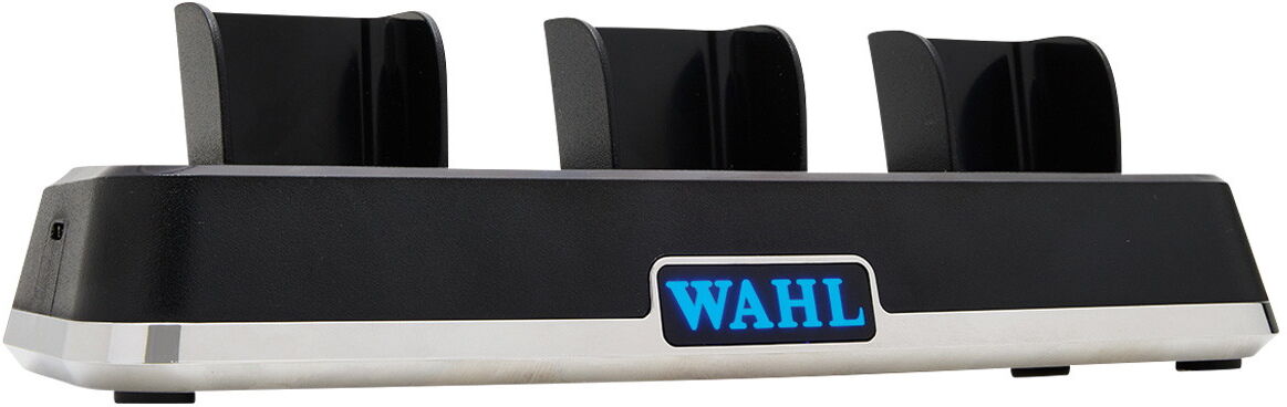 Wahl Power Station