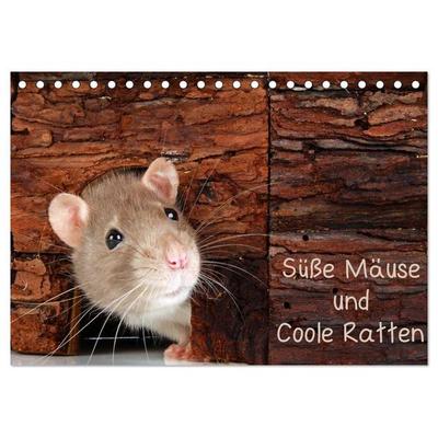 Süße Mäuse und Coole Ratten (Tischkalender 2026 DIN A5 quer), CALVENDO Monatskalender