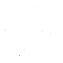 Hansa Führungseinsatz 59904846