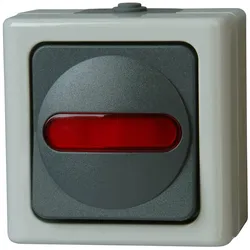 Kopp Kontrollschalter grau, Schalter + Taster, Grau