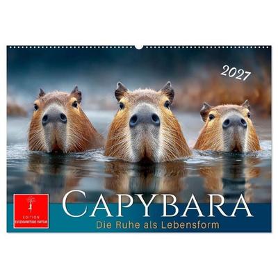Capybara - die Ruhe als Lebensform (Wandkalender 2027 DIN A2 quer), CALVENDO Monatskalender